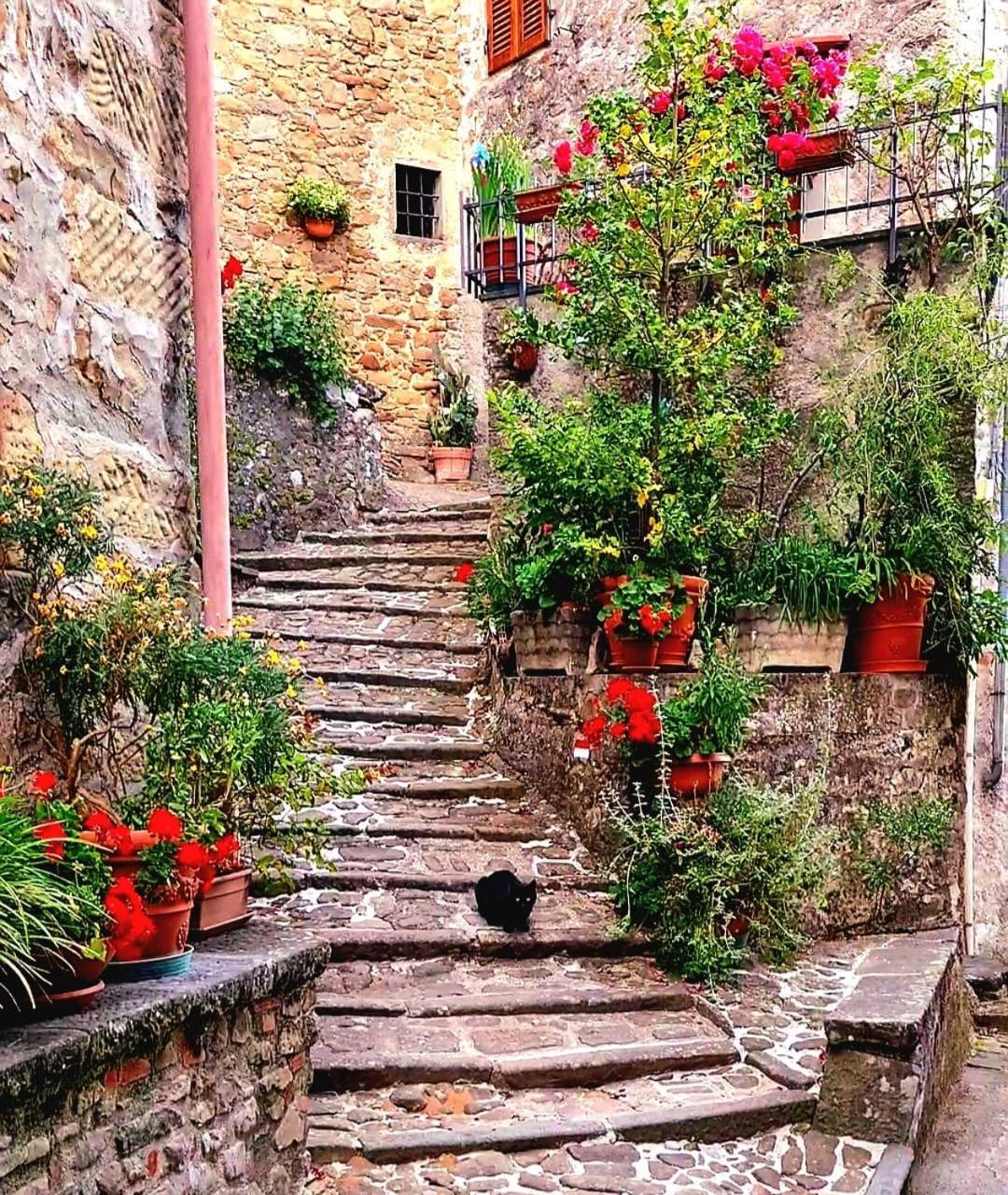 Torre Del Duca Guest House Bagni di Lucca Exterior foto